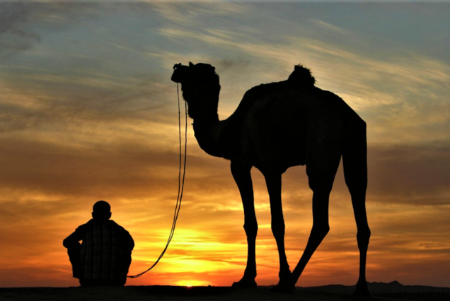 Camel riding on beach in Agadir area