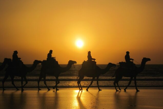 Camel riding on beach in Agadir area