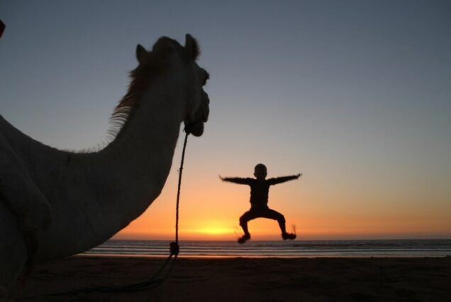 Camel riding on beach in Agadir area