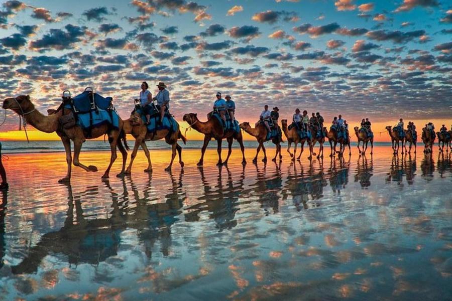 Taghazout Sunset Camel Ride