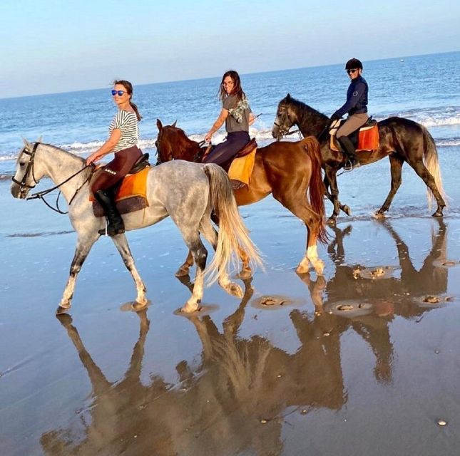 Horseback riding on beach near Agadir