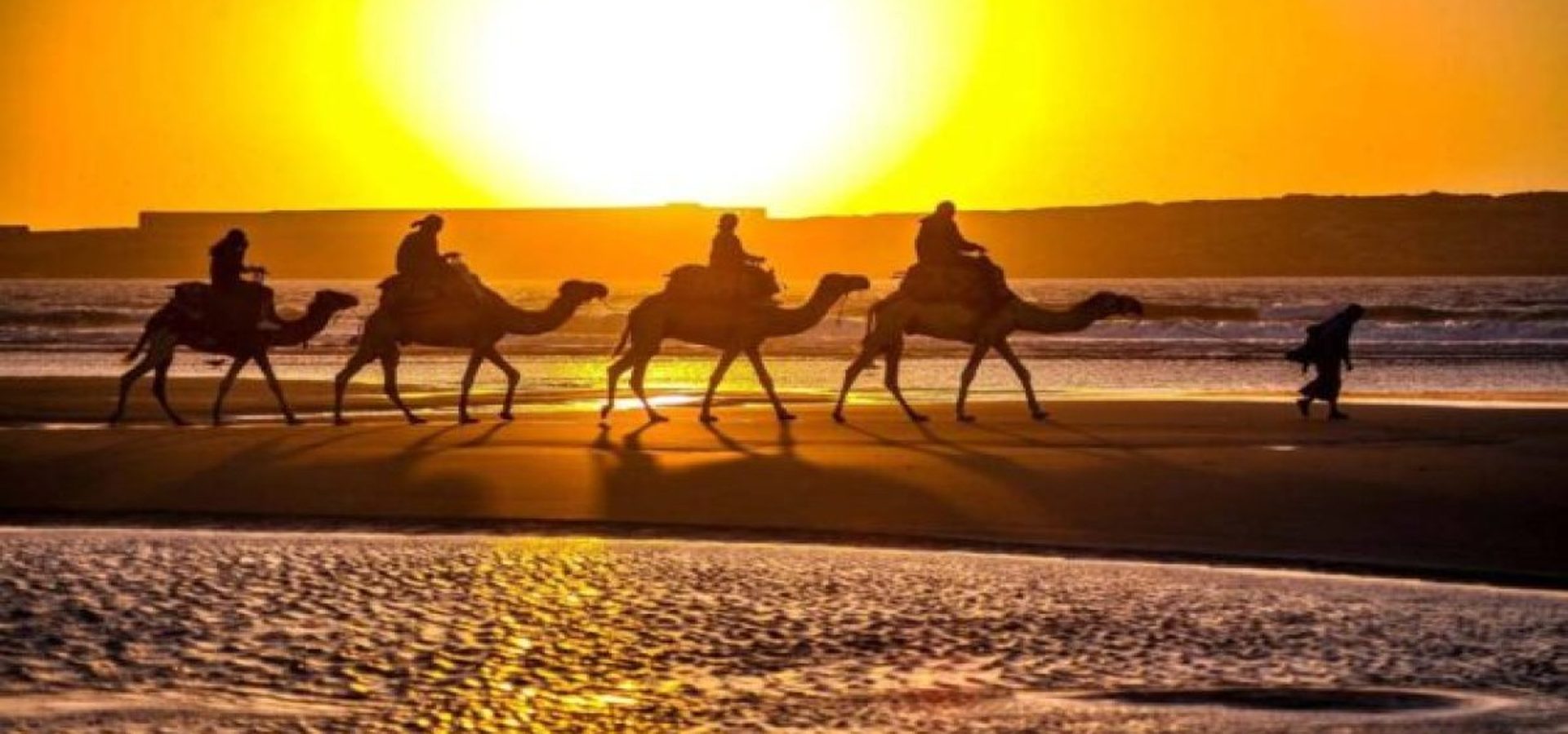 Camel — Sunset camel rides